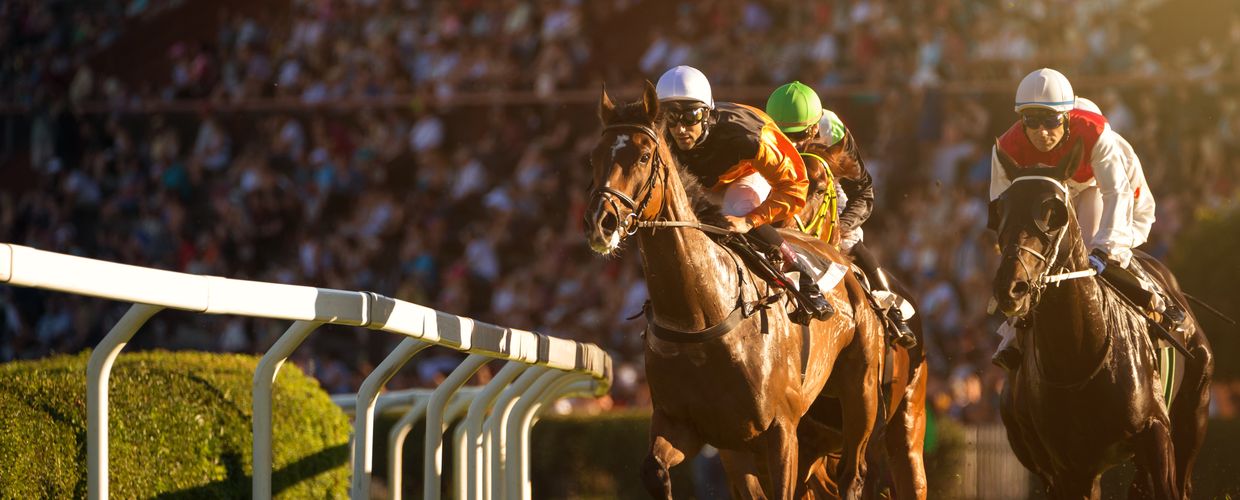 【イギリス】チャールトン・グッドウッド競馬場周辺の観光スポットおすすめ6選!紳士の国へ行こう♪