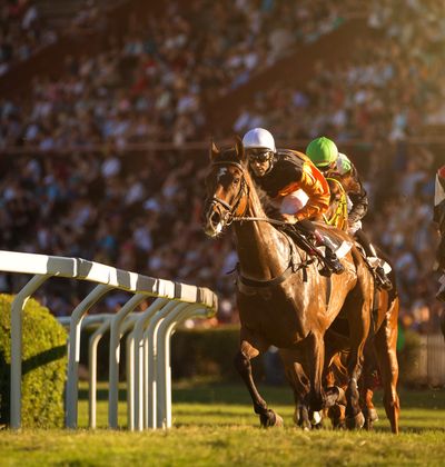 イギリス チャールトン グッドウッド競馬場周辺の観光スポットおすすめ6選 紳士の国へ行こう おすすめ旅行を探すならトラベルブック Travelbook イギリス チャールトン グッドウッド競馬場周辺の観光スポットおすすめ6選 紳士の国へ行こう おすすめ旅行を探すならトラベルブック Travelbook