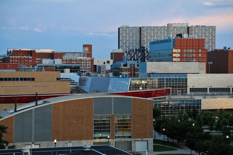 非売品】オハイオ州立大学 アメフト グローブ グローブ 