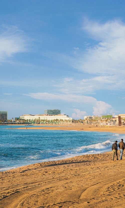 バルセロナ バルセロネータ周辺でおすすめの観光スポット選 美食の国を満喫 おすすめ旅行を探すならトラベルブック Travelbook