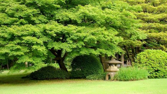 伝統芸能 旋頭歌 片歌入門 知って楽しい日本の伝統文化 おすすめ旅行を探すならトラベルブック Travelbook