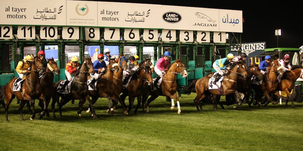 【ドバイ】メイダン競馬場周辺の観光スポットおすすめ16選!ここに行けば間違いなし!