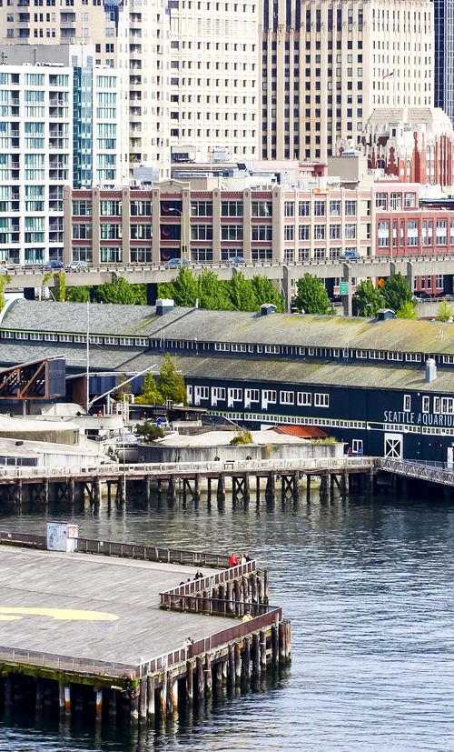 アメリカ シアトル水族館周辺の観光スポットおすすめ選 充実した旅行を おすすめ旅行を探すならトラベルブック Travelbook