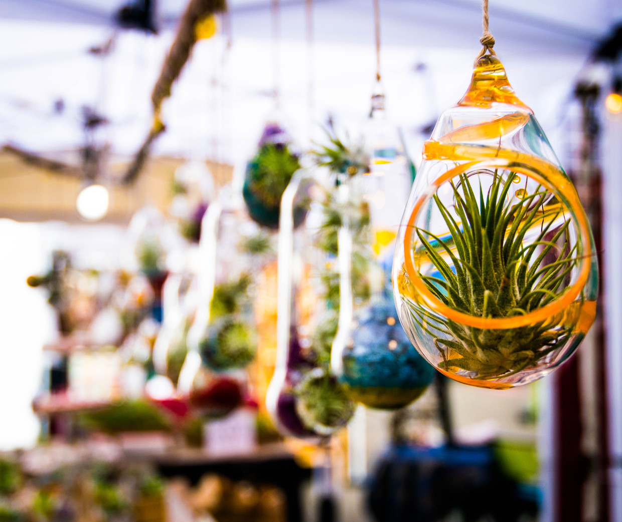 ポートランド ポートランドサタデーマーケット周辺周辺の行っておくべきの観光スポットおすすめ17選 おすすめ 旅行を探すならトラベルブック Travelbook