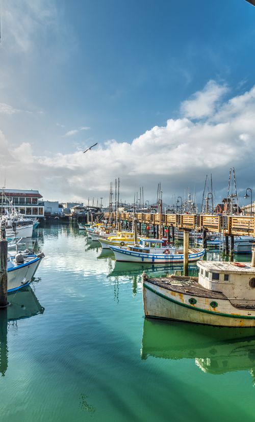 アメリカ サンフランシスコ ピア39はフィッシャーマンズワーフにある人気の観光スポット おすすめ旅行を探すならトラベルブック Travelbook