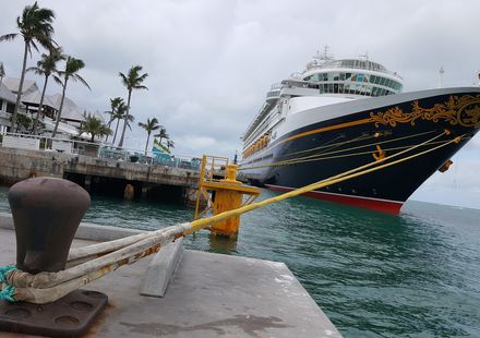 フロリダ発 ディズニークルーズライン ディズニー体験の最高峰 洋上の動くディズニーランド おすすめ旅行を探すならトラベルブック Travelbook フロリダ発 ディズニークルーズライン ディズニー体験の最高峰 洋上の動くディズニーランド おすすめ旅行を探すならトラベルブック Travelbook