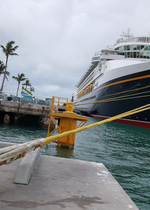 フロリダ発 ディズニークルーズライン ディズニー体験の最高峰 洋上の動くディズニーランド おすすめ旅行を探すならトラベルブック Travelbook フロリダ発 ディズニークルーズライン ディズニー体験の最高峰 洋上の動くディズニーランド おすすめ旅行を探すならトラベルブック Travelbook