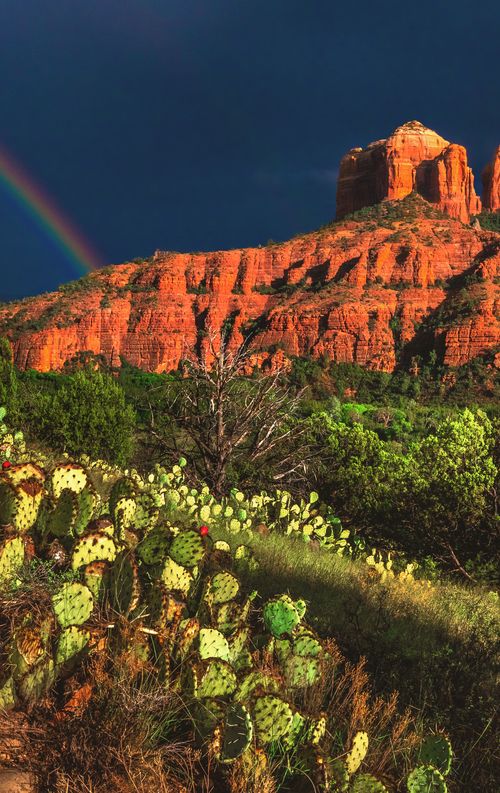 アリゾナ州 セドナのシンボル カセドラルロック って 楽しみ方と注意点をご紹介 おすすめ旅行を探すならトラベルブック Travelbook アリゾナ州 セドナのシンボル カセドラルロック って 楽しみ方と注意点をご紹介 おすすめ旅行を探すならトラベルブック Travelbook