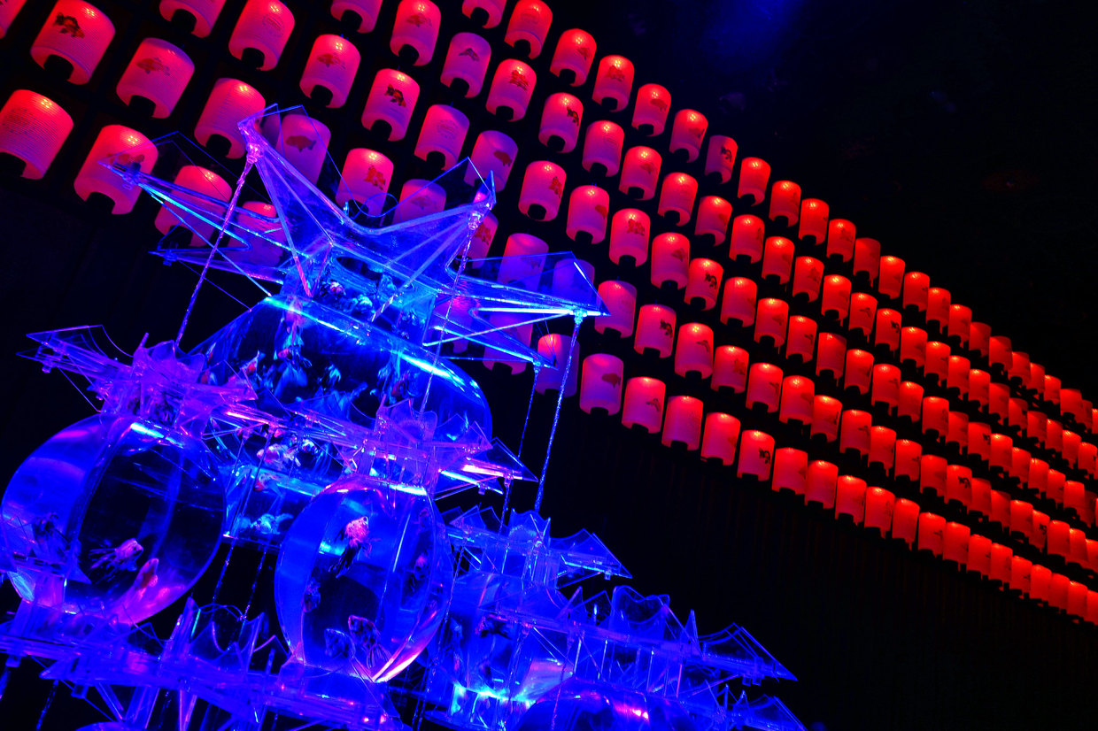 京都 500万人が感動した和の美 二条城 アートアクアリウム城 がすごい おすすめ旅行を探すならトラベルブック Travelbook