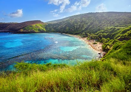 ハワイ島のオプショナルツアー ハワイ 現地ツアーを徹底比較 おすすめ旅行を探すならトラベルブック Travelbook ハワイ島のオプショナルツアー ハワイ 現地ツアーを徹底比較 おすすめ旅行を探すならトラベルブック Travelbook