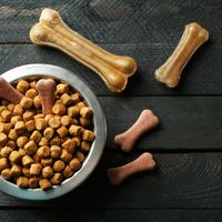 おすすめアレルギー対策ドッグフード 人気ランキング15選 自分らしい便利な暮らしを トラベルブック Travelbook おすすめアレルギー対策ドッグフード 人気ランキング15選 自分らしい便利な暮らしを トラベルブック Travelbook