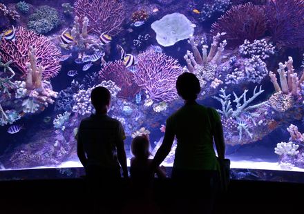 トルコ アンタルヤ水族館周辺にあるオシャレでおすすめな観光スポット12選 情報はこちらから おすすめ旅行を探すならトラベルブック Travelbook トルコ アンタルヤ水族館周辺にあるオシャレでおすすめな観光スポット12選 情報はこちらから おすすめ旅行を探すならトラベルブック Travelbook