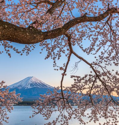 山梨 河口湖周辺のおすすめ観光地13選 河口湖の美しい観光地を紹介 おすすめ旅行を探すならトラベルブック Travelbook 山梨 河口湖周辺のおすすめ観光地13選 河口湖の美しい観光地を紹介 おすすめ旅行を探すならトラベルブック Travelbook