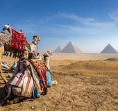 エジプト カイロでおすすめの観光地17選 重要な遺産の宝庫 おすすめ旅行を探すならトラベルブック Travelbook