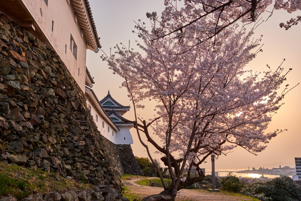 和歌山観光でおすすめスポット15選 名所観光地一覧 おすすめ旅行を探すならトラベルブック Travelbook