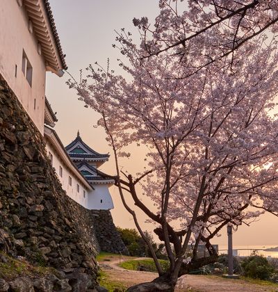 和歌山観光でおすすめスポット15選 名所観光地一覧 おすすめ旅行を探すならトラベルブック Travelbook 和歌山観光でおすすめスポット15選 名所観光地一覧 おすすめ旅行を探すならトラベルブック Travelbook