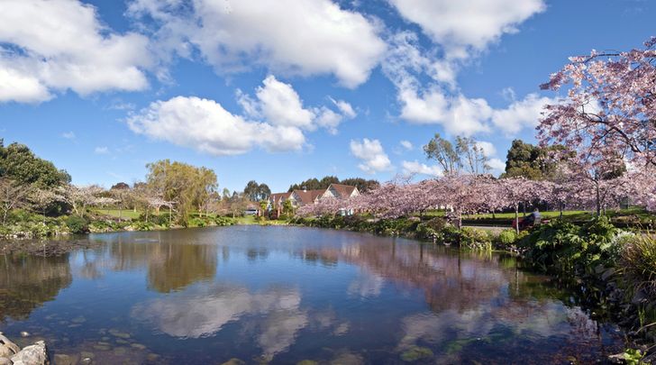 パーマーストンノース 観光ガイド                      Palmerston-north
