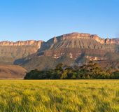 ベネズエラ 世界最大の落差の滝 エンジェルフォール を見に行こう おすすめ旅行を探すならトラベルブック Travelbook ベネズエラ 世界最大の落差の滝 エンジェルフォール を見に行こう おすすめ旅行を探すならトラベルブック Travelbook
