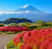 山梨 秋の味覚 食べ放題のぶどう狩りが満喫できる農場5選 おすすめ旅行を探すならトラベルブック Travelbook 山梨 秋の味覚 食べ放題のぶどう狩りが満喫できる農場5選 おすすめ旅行を探すならトラベルブック Travelbook