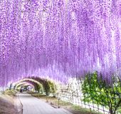 福岡のおすすめドライブコース13選 休日に車でサクッと日帰り旅行 おすすめ旅行を探すならトラベルブック Travelbook 福岡のおすすめドライブコース13選 休日に車でサクッと日帰り旅行 おすすめ旅行を探すならトラベルブック Travelbook