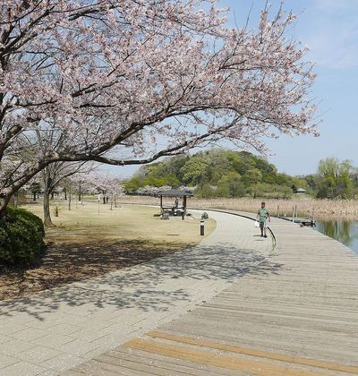 千葉 松戸周辺のおすすめ観光スポット10選 徳川将軍家ゆかりの宿場町を歩こう おすすめ旅行を探すならトラベルブック Travelbook 千葉 松戸周辺のおすすめ観光スポット10選 徳川将軍家ゆかりの宿場町を歩こう おすすめ旅行を探すならトラベルブック Travelbook