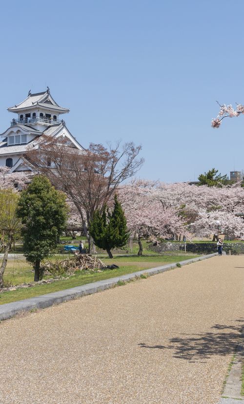 滋賀 長浜でおすすめの観光地11選 歴史と自然にあふれるスポットをご紹介 おすすめ旅行を探すならトラベルブック Travelbook 滋賀 長浜でおすすめの観光地11選 歴史と自然にあふれるスポットをご紹介 おすすめ旅行を探すならトラベルブック Travelbook