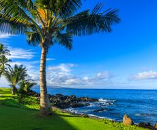 マウイ島でおすすめの観光地まとめ 大自然スポットを感じよう おすすめ旅行を探すならトラベルブック Travelbook マウイ島でおすすめの観光地まとめ 大自然スポットを感じよう おすすめ旅行を探すならトラベルブック Travelbook