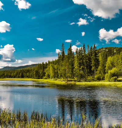 スウェーデン ムーラ モーラ でおすすめ観光スポット 森や湖など自然いっぱいのエリア おすすめ旅行を探すならトラベルブック Travelbook スウェーデン ムーラ モーラ でおすすめ観光スポット 森や湖など自然いっぱいのエリア おすすめ旅行を探すならトラベルブック Travelbook