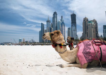 ドバイのオプショナルツアー アラブ首長国連邦 現地ツアーを徹底比較 おすすめ旅行を探すならトラベルブック Travelbook ドバイのオプショナルツアー アラブ首長国連邦 現地ツアーを徹底比較 おすすめ旅行を探すならトラベルブック Travelbook