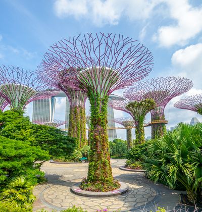 シンガポール ガーデンズバイザベイ 巨大な庭園でくつろごう おすすめ旅行を探すならトラベルブック Travelbook シンガポール ガーデンズバイザベイ 巨大な庭園でくつろごう おすすめ旅行を探すならトラベルブック Travelbook