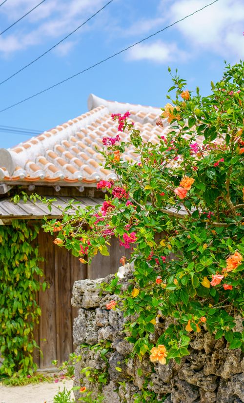 竹富島ツアーの選び方 旅行会社の格安パック フリーツアーを比較しよう おすすめ旅行を探すならトラベルブック Travelbook 竹富島ツアーの選び方 旅行会社の格安パック フリーツアーを比較しよう おすすめ旅行を探すならトラベルブック Travelbook