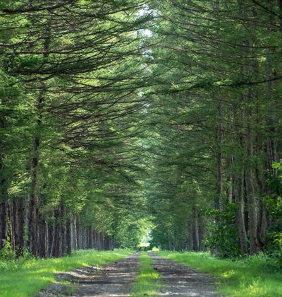 帯広でおすすめ観光地選 北海道 名所スポットを徹底紹介 おすすめ旅行を探すならトラベルブック Travelbook 帯広でおすすめ観光地選 北海道 名所スポットを徹底紹介 おすすめ旅行を探すならトラベルブック Travelbook