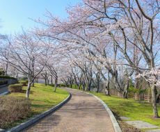 八戸でおすすめ観光地選 青森 名所スポットを徹底紹介 おすすめ旅行を探すならトラベルブック Travelbook 八戸でおすすめ観光地選 青森 名所スポットを徹底紹介 おすすめ旅行を探すならトラベルブック Travelbook