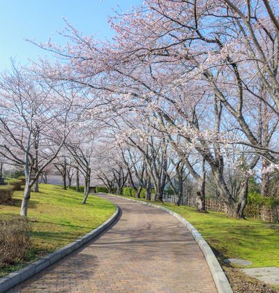 八戸でおすすめ観光地選 青森 名所スポットを徹底紹介 おすすめ旅行を探すならトラベルブック Travelbook