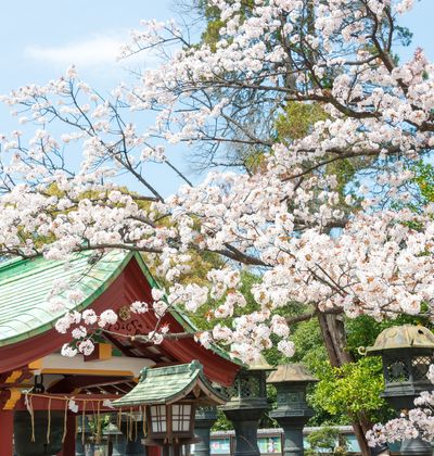 上野でおすすめ観光地選 東京 名所スポットを徹底紹介 おすすめ旅行を探すならトラベルブック Travelbook 上野でおすすめ観光地選 東京 名所スポットを徹底紹介 おすすめ旅行を探すならトラベルブック Travelbook