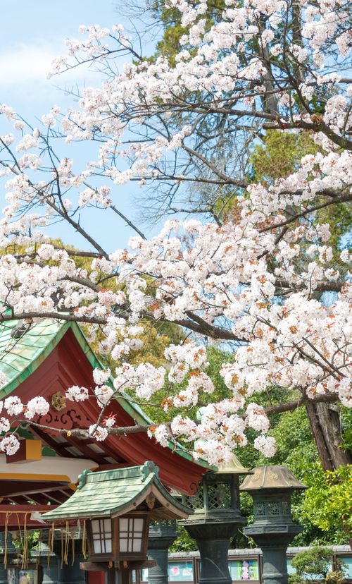 6ページ目 上野でおすすめ観光地選 東京 名所スポットを徹底紹介 おすすめ旅行を探すならトラベルブック Travelbook 6ページ目 上野でおすすめ観光地選 東京 名所スポットを徹底紹介 おすすめ旅行を探すならトラベルブック Travelbook