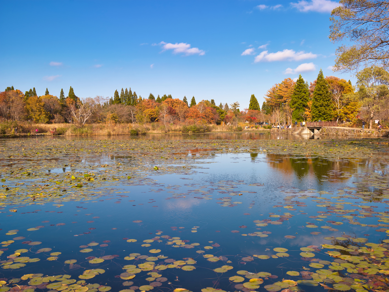 妙高でおすすめの観光地10選 新潟の大自然に囲まれた人気スポットをご紹介 おすすめ旅行を探すならトラベルブック Travelbook