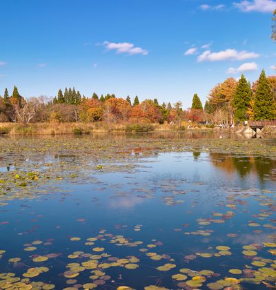 妙高でおすすめの観光地10選 新潟の大自然に囲まれた人気スポットをご紹介 おすすめ旅行を探すならトラベルブック Travelbook 妙高でおすすめの観光地10選 新潟の大自然に囲まれた人気スポットをご紹介 おすすめ旅行を探すならトラベルブック Travelbook