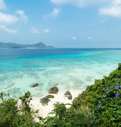 鹿児島 奄美大島の人気ホテルランキング10選 子連れにもおすすめ宿をご紹介 おすすめ旅行を探すならトラベルブック Travelbook 鹿児島 奄美大島の人気ホテルランキング10選 子連れにもおすすめ宿をご紹介 おすすめ旅行を探すならトラベルブック Travelbook