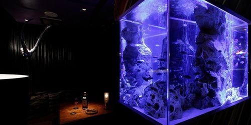 新宿三丁目 誕生日 記念日におすすめのレストラン選 編集部イチオシのお店 雰囲気の良い美味しいお店はこちら おすすめ旅行を探すならトラベルブック Travelbook