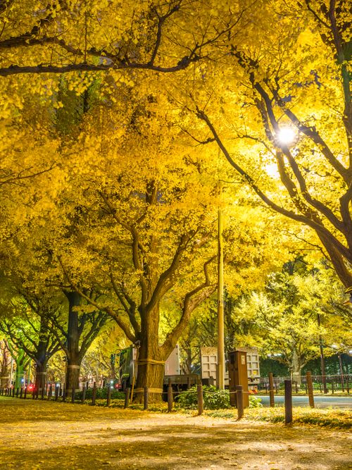 東京 青山周辺のホテル10選 おしゃれなのに安いおすすめ宿をご紹介 おすすめ旅行を探すならトラベルブック Travelbook 東京 青山周辺のホテル10選 おしゃれなのに安いおすすめ宿をご紹介 おすすめ旅行を探すならトラベルブック Travelbook
