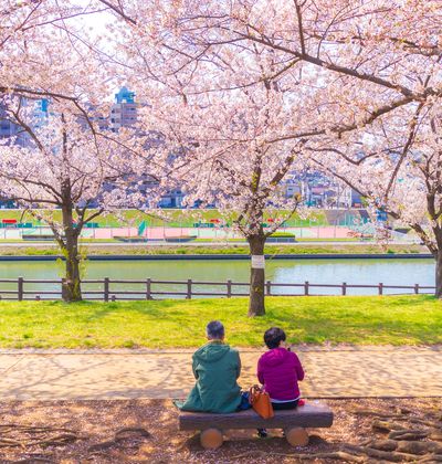 東京 赤羽のおすすめホテル10選 安いのに快適な宿をご紹介 おすすめ旅行を探すならトラベルブック Travelbook 東京 赤羽のおすすめホテル10選 安いのに快適な宿をご紹介 おすすめ旅行を探すならトラベルブック Travelbook