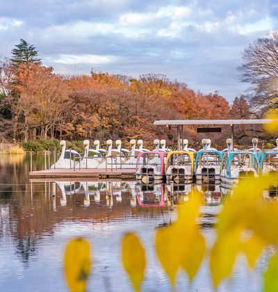 吉祥寺周辺のおすすめホテル5選 安いのに快適な宿をご紹介 おすすめ旅行を探すならトラベルブック Travelbook 吉祥寺周辺のおすすめホテル5選 安いのに快適な宿をご紹介 おすすめ旅行を探すならトラベルブック Travelbook