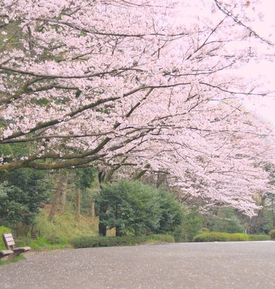 東京 町田周辺のおすすめホテル10選 安いのに快適な宿をご紹介 おすすめ旅行を探すならトラベルブック Travelbook 東京 町田周辺のおすすめホテル10選 安いのに快適な宿をご紹介 おすすめ旅行を探すならトラベルブック Travelbook