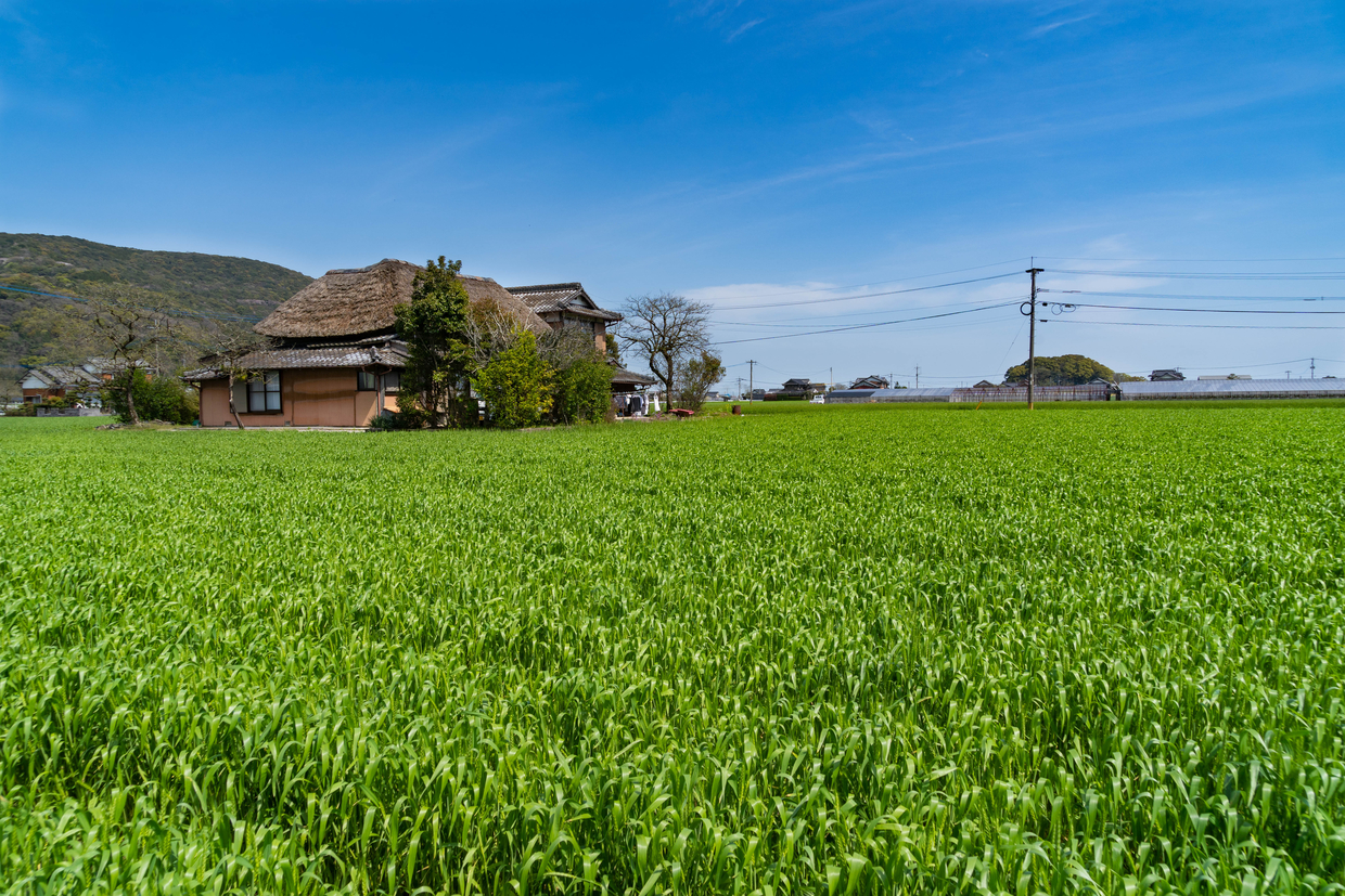 佐賀 鳥栖の宿泊でおすすめのホテル5選 比較して格安予約しよう おすすめ旅行を探すならトラベルブック Travelbook