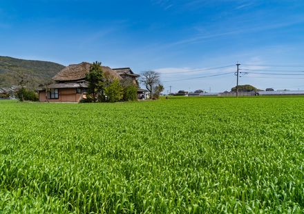 佐賀 鳥栖の宿泊でおすすめのホテル5選 比較して格安予約しよう おすすめ旅行を探すならトラベルブック Travelbook 佐賀 鳥栖の宿泊でおすすめのホテル5選 比較して格安予約しよう おすすめ旅行を探すならトラベルブック Travelbook