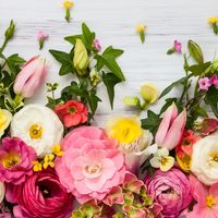 花の定期便おすすめ11選 人気ランキング上位を紹介 自分らしい便利な暮らしを トラベルブック Travelbook 花の定期便おすすめ11選 人気ランキング上位を紹介 自分らしい便利な暮らしを トラベルブック Travelbook
