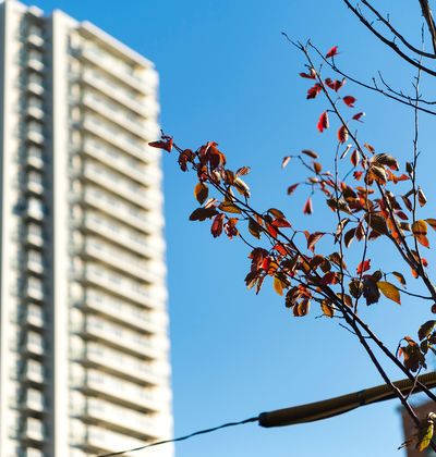東京 五反田周辺の格安ホテル10選 当日予約もできる宿をご紹介 おすすめ旅行を探すならトラベルブック Travelbook 東京 五反田周辺の格安ホテル10選 当日予約もできる宿をご紹介 おすすめ旅行を探すならトラベルブック Travelbook