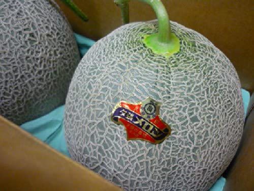 高級メロンの人気上位を紹介 ギフトにもおすすめ 自分らしい便利な暮らしを トラベルブック Travelbook