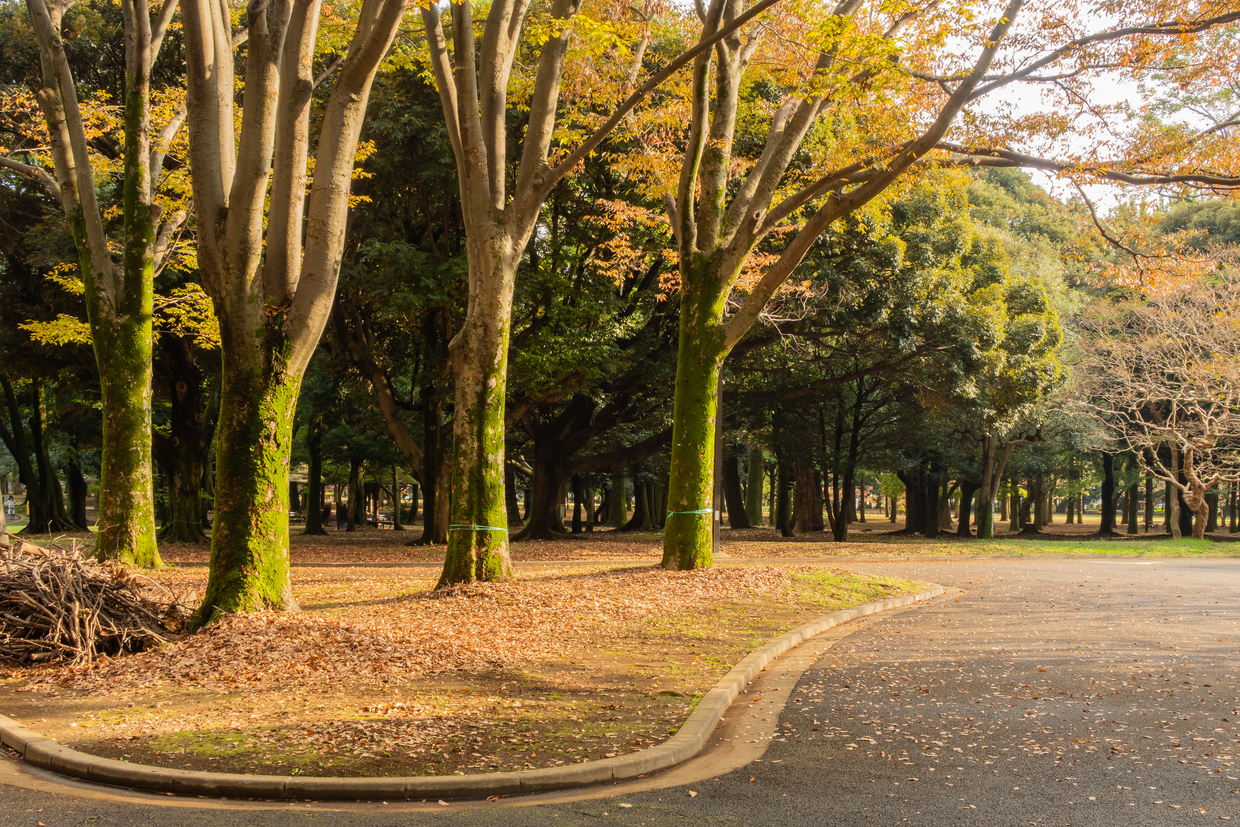 東京 代々木周辺のカプセルホテル8選 女性人気が高い格安宿もご紹介 おすすめ旅行を探すならトラベルブック Travelbook